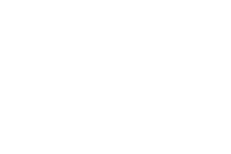 società elettrica fulmine